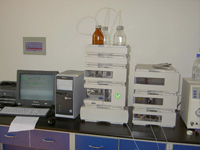 Һ��ɫ�ף�����Ŵ�